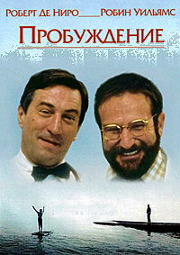 Пробуждение (1990)